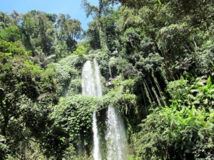 Top of Sedang Gile Waterfall