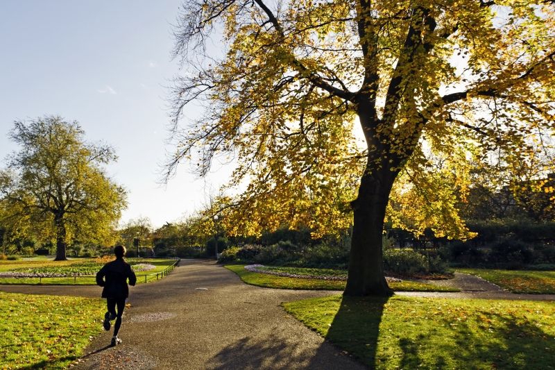 Head to Hyde Park for a Morning Jog