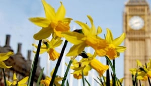 Tea at the Milestone