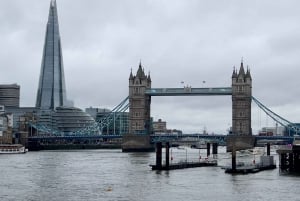5 timmars privat rundtur i London med upphämtning