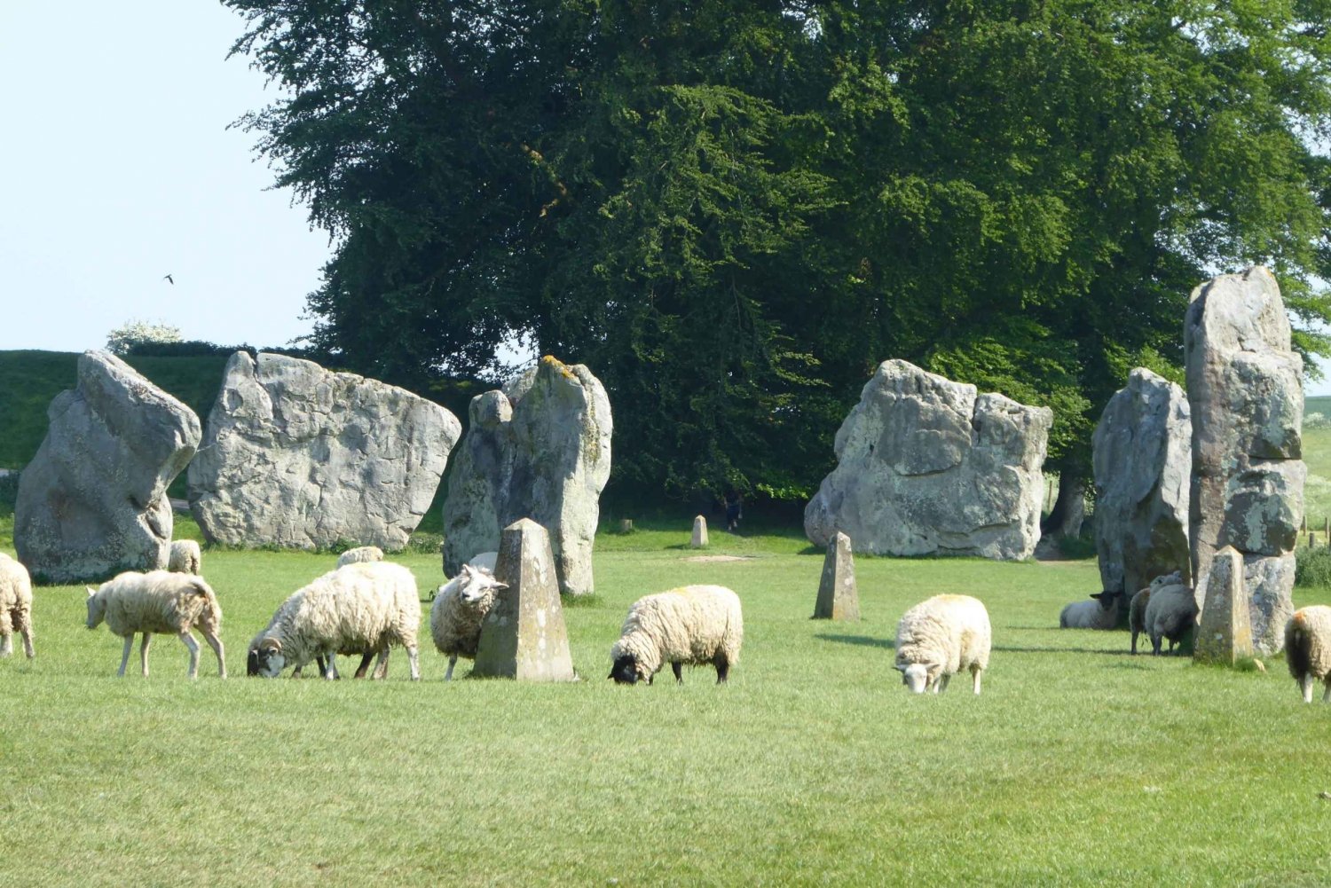 Avebury & Stonehenge Private Tour - Day Tour From Bath