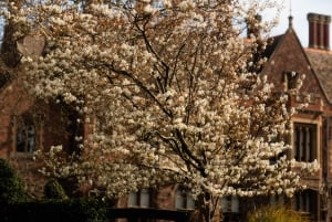 Cambridge: Alumni-Led Tour with King's College and Punt Tour