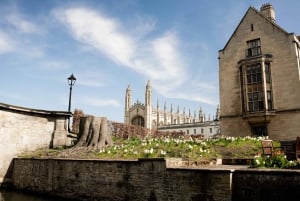 Cambridge: Alumni-Led Tour with King's College and Punt Tour