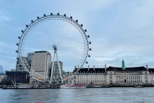 Centro de Londres al aeropuerto de Gatwick - Traslado privado