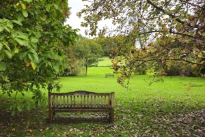 Chawton og Alton: tur til Jane Austens yndlingssteder