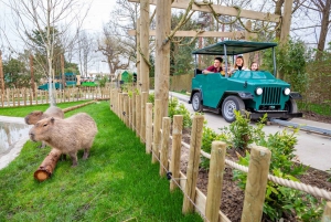 Курорт «Мир приключений в Чессингтоне»: входной билет