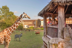 Курорт «Мир приключений в Чессингтоне»: входной билет