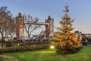 Tour in autobus hop-on hop-off il giorno di Natale