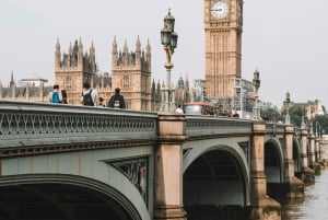 EasyAccess Tower Bridge & Engine Room & Scenic Cruise по Темзе