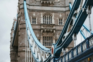 イージーアクセスタワーブリッジ＆エンジンルーム＆美しいテムズ川クルーズ