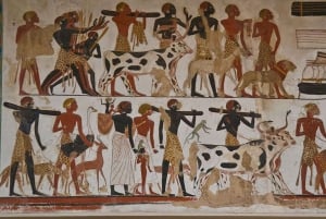 Explore History: British Museum's Rosetta, Mummies & More