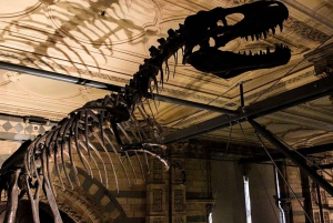 Лондон: Экскурсия с гидом по природным чудесам