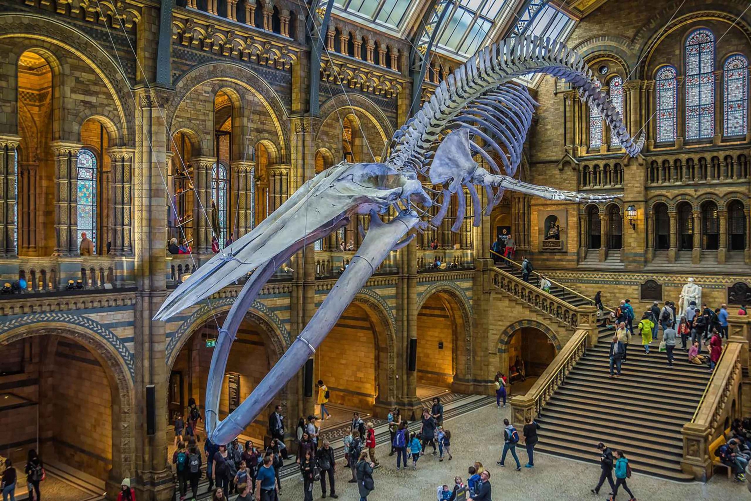 Explore as maravilhas naturais: Excursão ao Museu de Londres