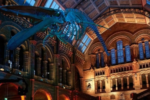 Ontdek de natuurlijke wonderen: Londen Museum Tour