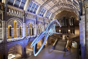 Tutki luonnonihmeitä: Lontoon museokierros