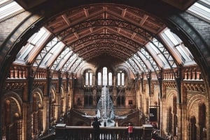 Explore as maravilhas naturais: Excursão ao Museu de Londres