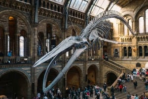 Исследуйте чудеса природы: экскурсия по Лондонскому музею