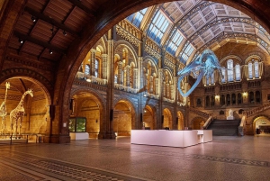 Entdecke die Naturwunder: London Museum Tour