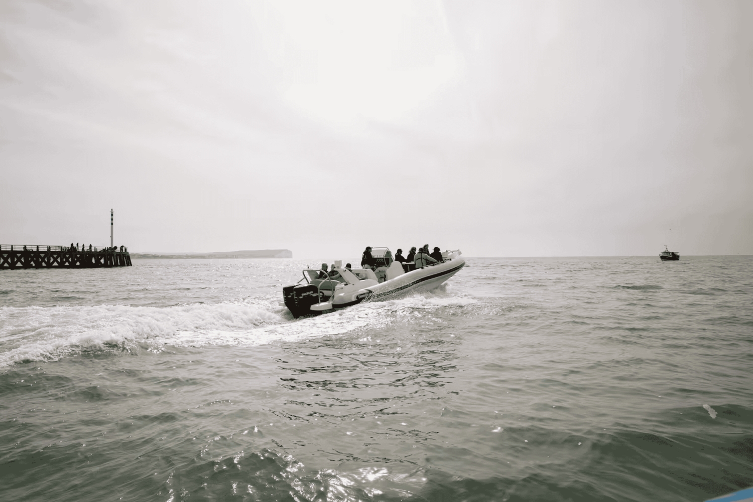 Fra Brighton: Seven Sisters Boat Tour