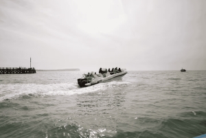 Fra Brighton: Seven Sisters Boat Tour