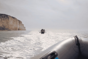 Fra Brighton: Seven Sisters Boat Tour