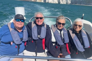Fra Brighton: Seven Sisters Boat Tour