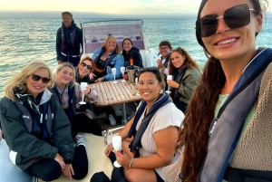 Fra Brighton: Seven Sisters Boat Tour