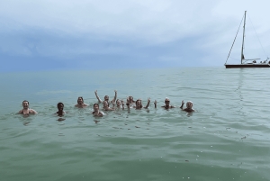 Fra Brighton: Seven Sisters Boat Tour