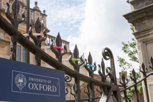 De Londres: Um tour particular de Harry Potter + Universidade de Oxford
