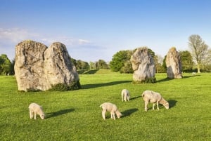 From London: Bath, Avebury and Lacock Village Day Trip
