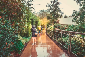 Von London aus: Shopping-Tagesausflug ins Bicester Village