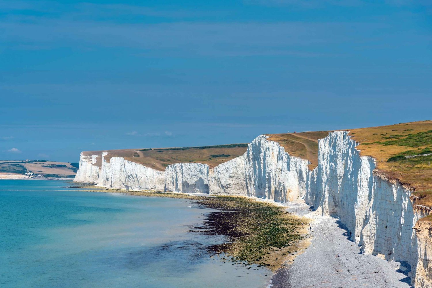 Fra Brighton & Seven Sisters Small-Group Tour