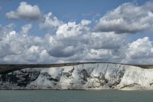 Z Londynu: Canterbury i White Cliffs of Dover Tour