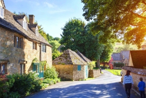 Depuis Londres : Cotswolds, palais de Blenheim et Downton Abbey