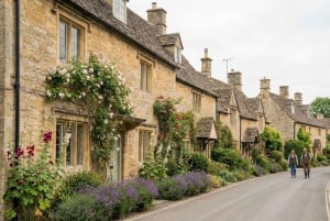 Котсуолдс и Оксфорд: тур на весь день из Лондона для небольшой группы