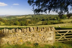 Full-Day Cotswolds Small-Group Tour
