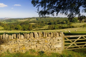 From London: Full-Day Cotswolds Small-Group Tour