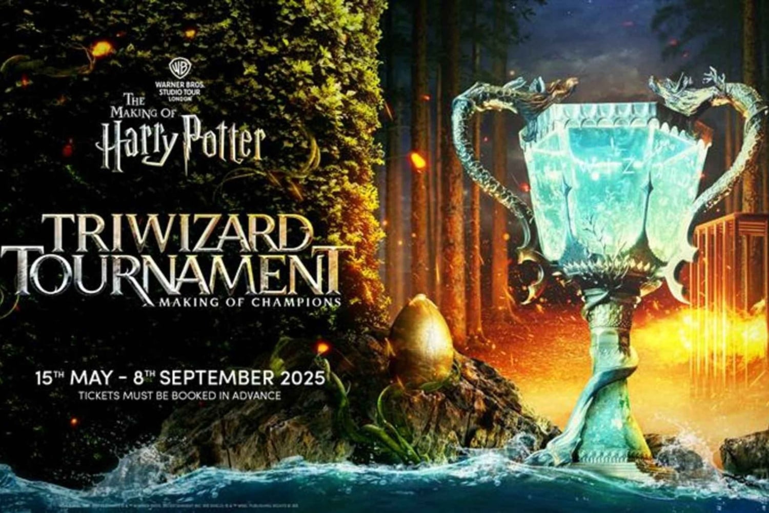 Vanuit Londen: Harry Potter-gezinsarrangement met vervoer