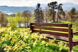 De Londres: Passeio pelo Lake District com chá com creme e cruzeiro guiado