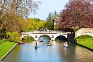 Z Londynu: jednodniowa wycieczka po Oksfordzie i Cambridge