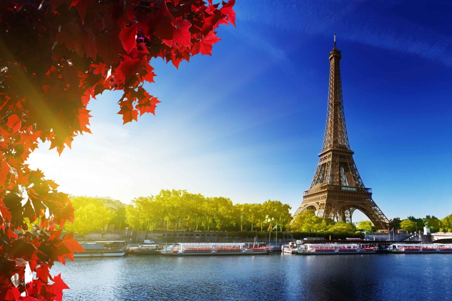 Au départ de Londres : Visite de Paris avec croisière-déjeuner et visite touristique
