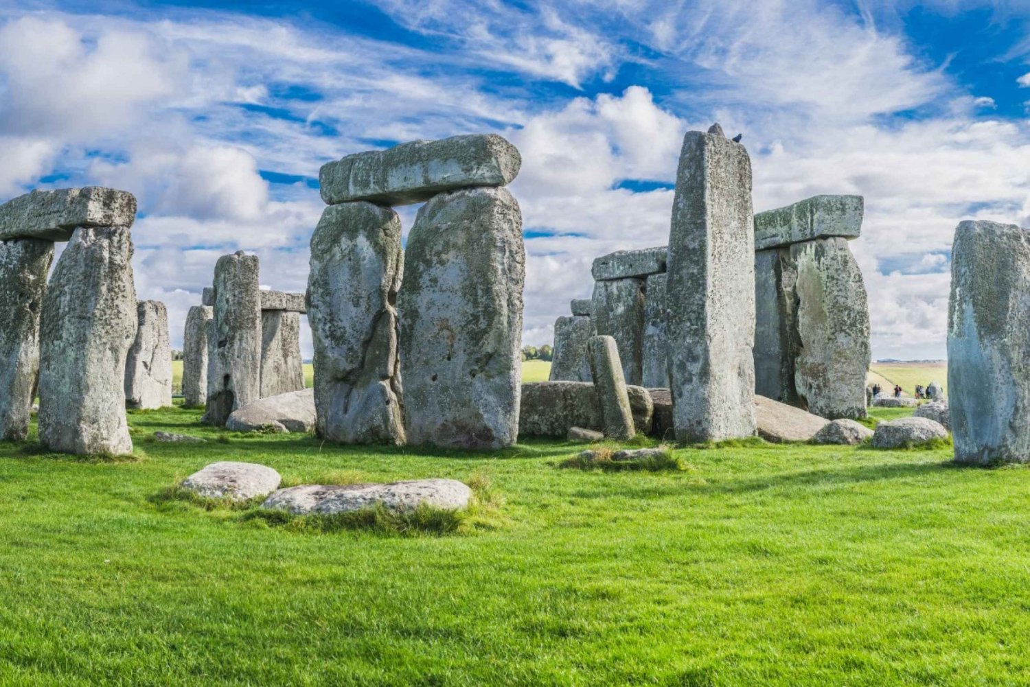 Fra London: Privat guidet tur til Stonehenge og Bath