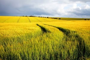 Из Лондона: однодневная поездка в Стоунхендж и Бат с билетом