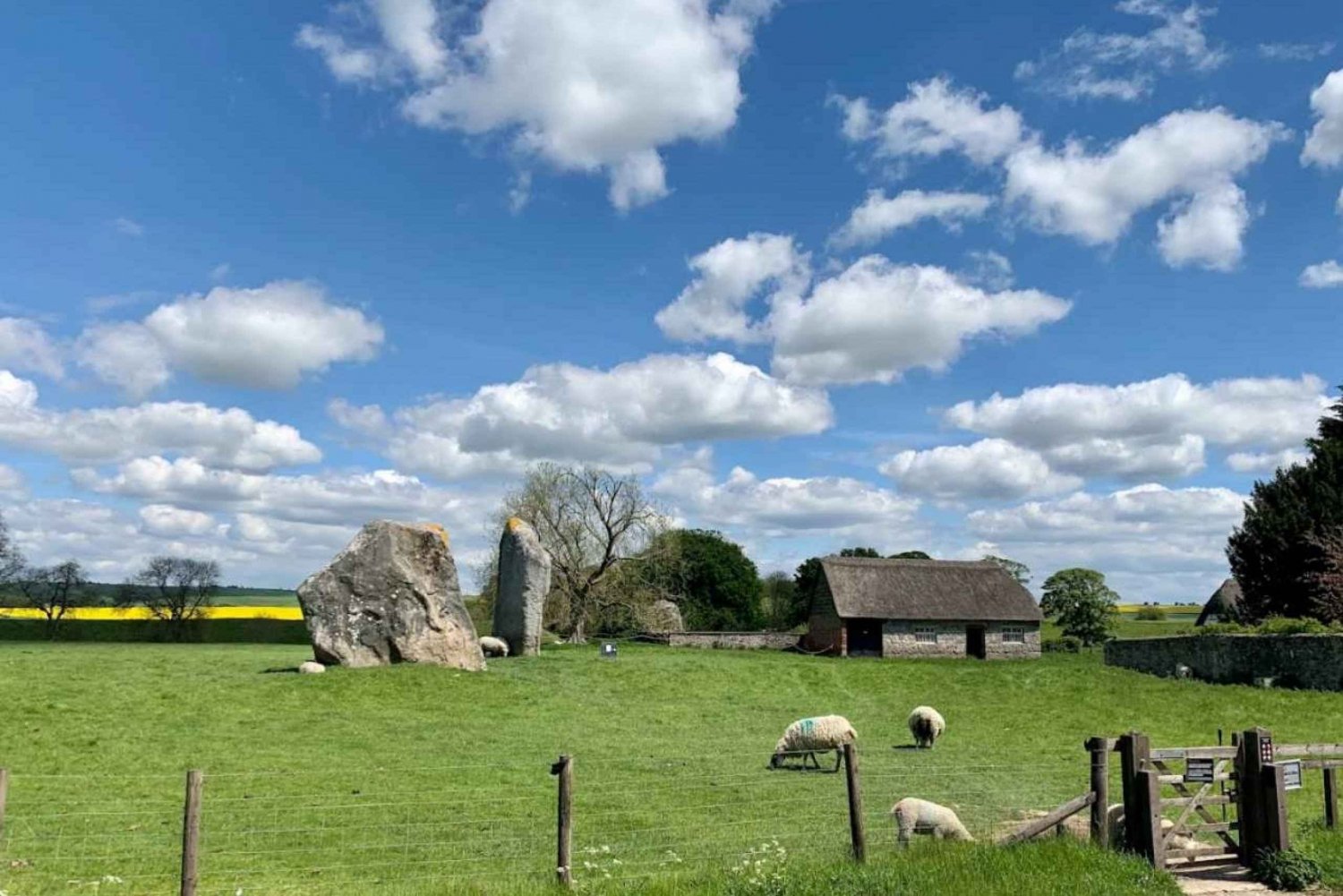 Da Londra: Tour di Stonehenge e dei cerchi di pietra di Avebury