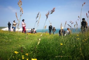 From London: Sussex Villages and White Cliff Guided Tour