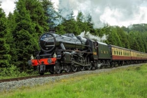 De Londres: As charnecas de North York com trem a vapor para Whitby