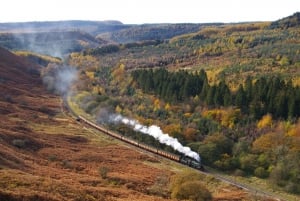 Depuis Londres : Les North York Moors avec le train à vapeur jusqu'à Whitby