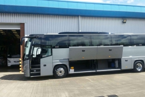 Z Londynu: Transfer do Southampton City Cruise Terminal