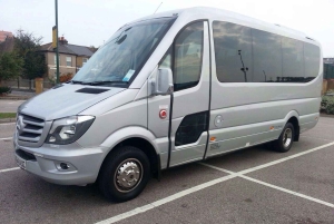 Z Londynu: Transfer do Southampton City Cruise Terminal