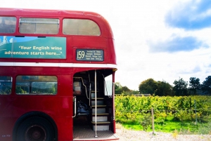 De Londres: Excursão de ônibus vintage com vinho e ingressos de trem de ida e volta
